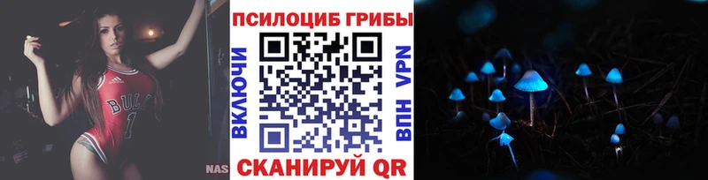 Псилоцибиновые грибы Magic Shrooms закладки Трубчевск